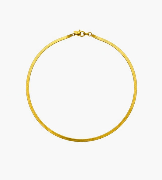 Y -KETTE | Golden Spiral